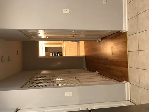 709 W 15th Unit 0, Chicago, IL 60607