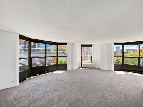 901 S Plymouth Unit 402, Chicago, IL 60605