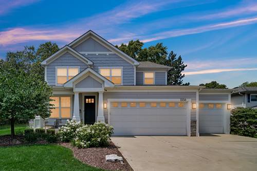1338 N Dunton, Arlington Heights, IL 60004