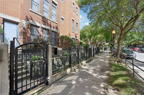 1512 S Halsted, Chicago, IL 60607