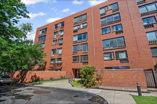 1115 S Plymouth Unit 312, Chicago, IL 60605