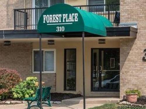 310 Lathrop Unit 203, Forest Park, IL 60130