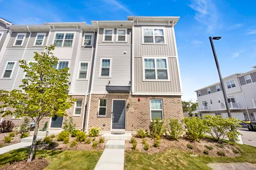 1037 Wren, Des Plaines, IL 60018
