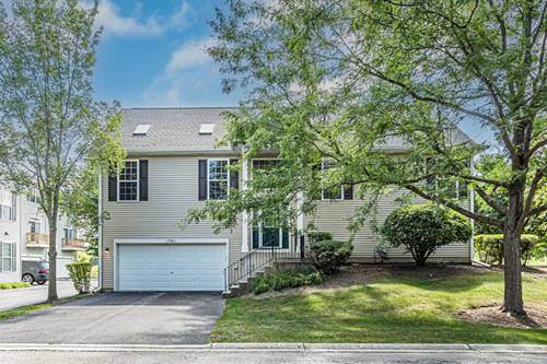 1561 W Turtle Creek Unit 1561, Round Lake, IL 60073