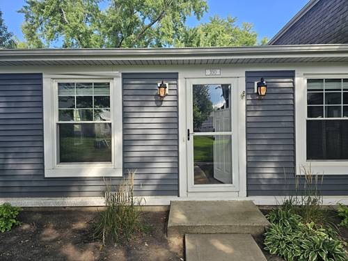350 Meadow Unit 350, Vernon Hills, IL 60061