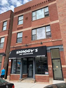 556 W 37th Unit 2E, Chicago, IL 60609