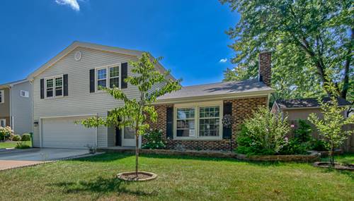 871 Lehigh, Buffalo Grove, IL 60089