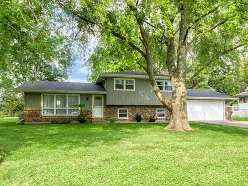 10210 Sunridge, Naperville, IL 60564