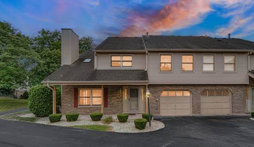 9350 Waterford, Orland Park, IL 60462