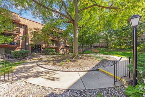 404 Melrose Unit 204, Glen Ellyn, IL 60137