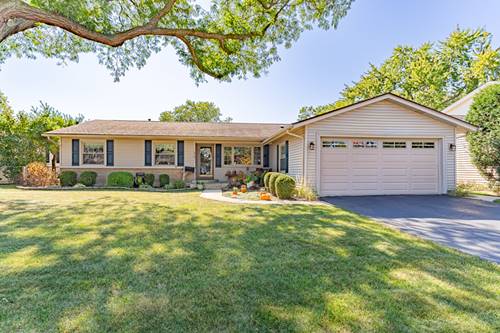 579 Bristol, Elk Grove Village, IL 60007