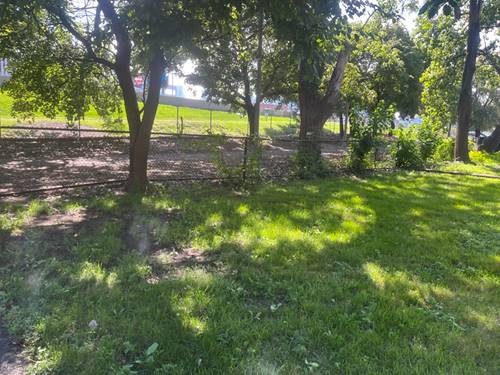 1337 W Haddon, Chicago, IL 60622