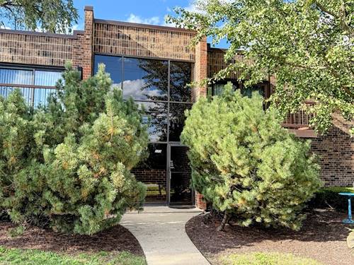 271 W First Unit 1B, Elmhurst, IL 60126