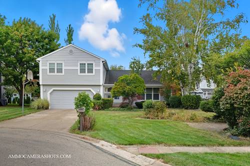 12 Aberdeen, Buffalo Grove, IL 60089