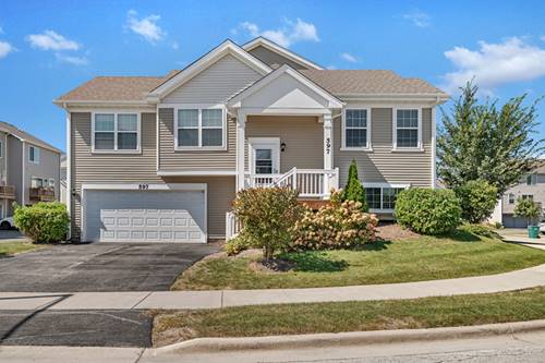 597 Spring Leaf, Joliet, IL 60431