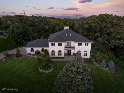13175 Fox, Lemont, IL 60439