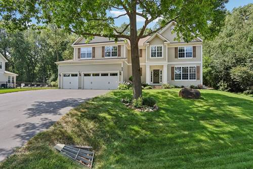 994 Reserve, Fox Lake, IL 60020