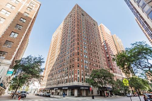1100 N Dearborn Unit 1802, Chicago, IL 60610