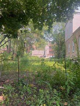 1247 N Campbell, Chicago, IL 60622