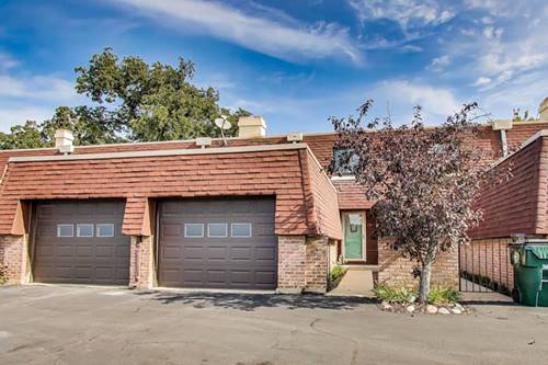 1057 Busse, Park Ridge, IL 60068