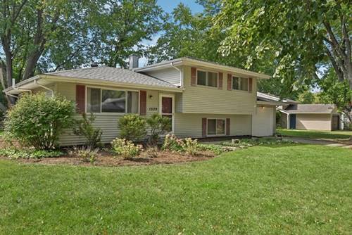1529 Rita, St. Charles, IL 60174