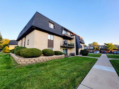 11131 S 84th Unit 1A, Palos Hills, IL 60465