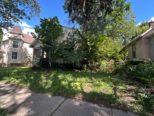 10217 S Wallace, Chicago, IL 60628