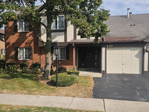 230 Windsor Unit A, Willowbrook, IL 60527