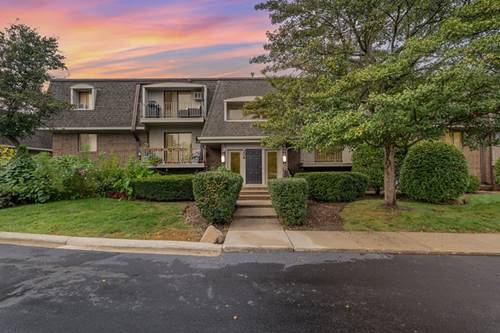 208 E Bailey Unit K, Naperville, IL 60565