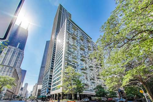 1000 N Lake Shore Unit 804, Chicago, IL 60611
