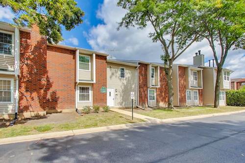 1345 E Wyndham Unit 103, Palatine, IL 60074