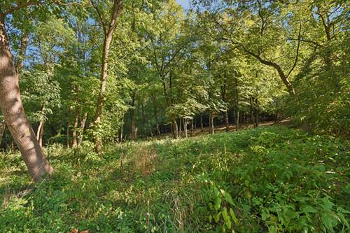 11 Harper, Algonquin, IL 60102