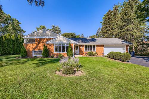 1008 W Wildwood, Prospect Heights, IL 60070