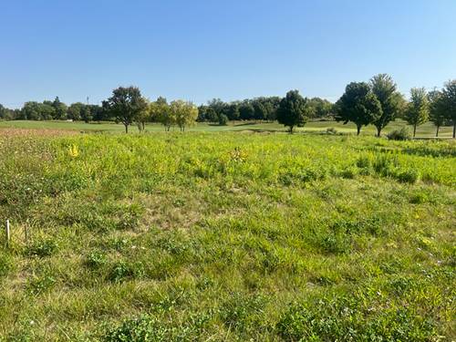 10006 St Andrews, Marengo, IL 60152