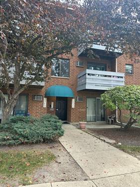 1335 N Winslowe Unit 104, Palatine, IL 60074
