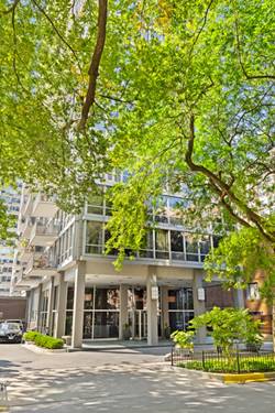 339 W Barry Unit 10C, Chicago, IL 60657