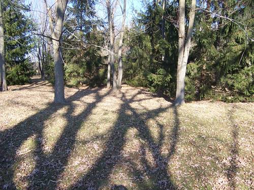 7n938 Route 47, Maple Park, IL 60151