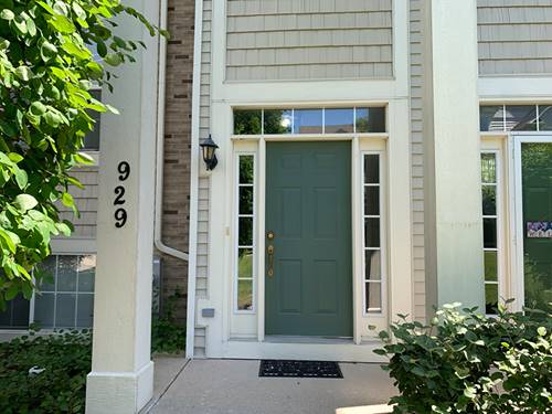 929 Summit Creek Unit 929, Shorewood, IL 60404
