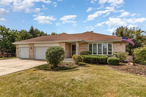 13910 Green Valley, Orland Park, IL 60467