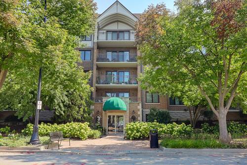 5 S Pine Unit 507B, Mount Prospect, IL 60056