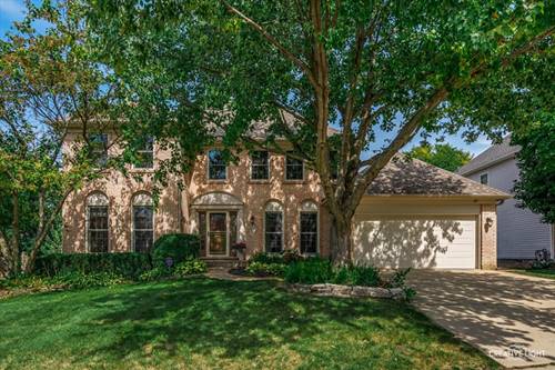 1924 Vassar, Naperville, IL 60565