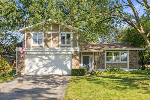 8119 Leawood, Woodridge, IL 60517
