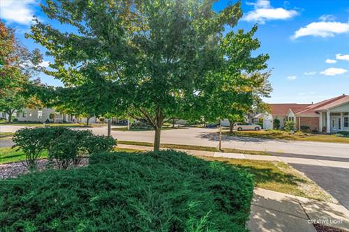 13954 S Tamarack, Plainfield, IL 60544