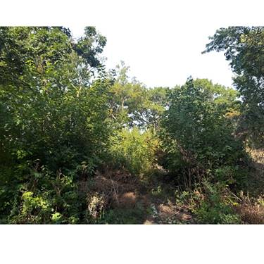 2905 Rose Marie, Wonder Lake, IL 60097