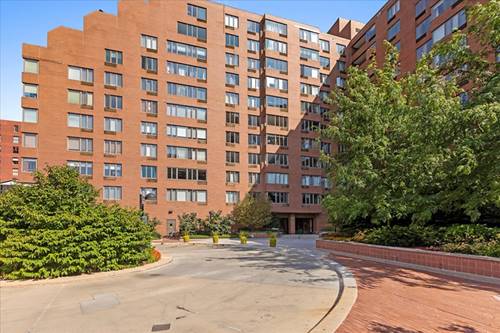 801 S Plymouth Unit 801, Chicago, IL 60605