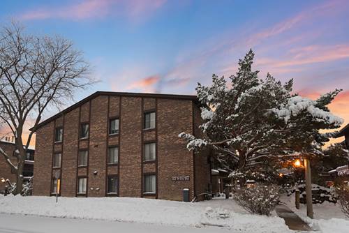 63 W 64th Unit 102, Westmont, IL 60559