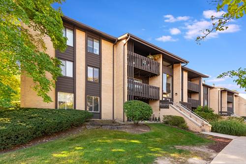 6165 Knoll Wood Unit 302, Willowbrook, IL 60527