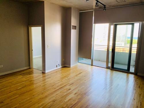 1720 S Michigan Unit 1103, Chicago, IL 60616