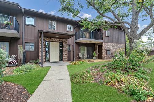 55 W 64th Unit 102, Westmont, IL 60559
