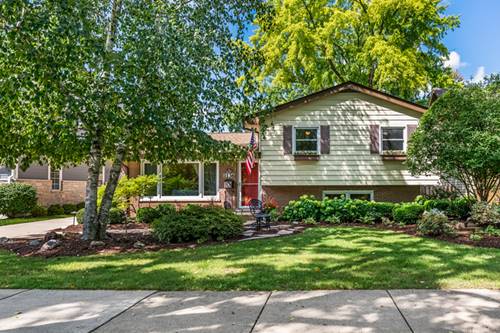 1136 N Walnut, Arlington Heights, IL 60004